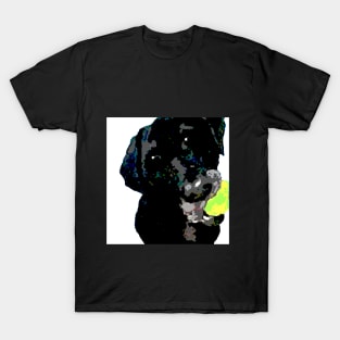 English Black Lab T-Shirt